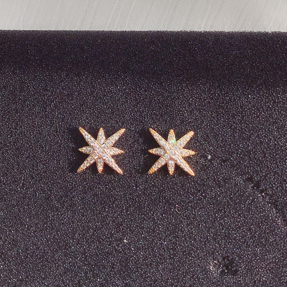 Eight-pointed star silver pin earrings  B